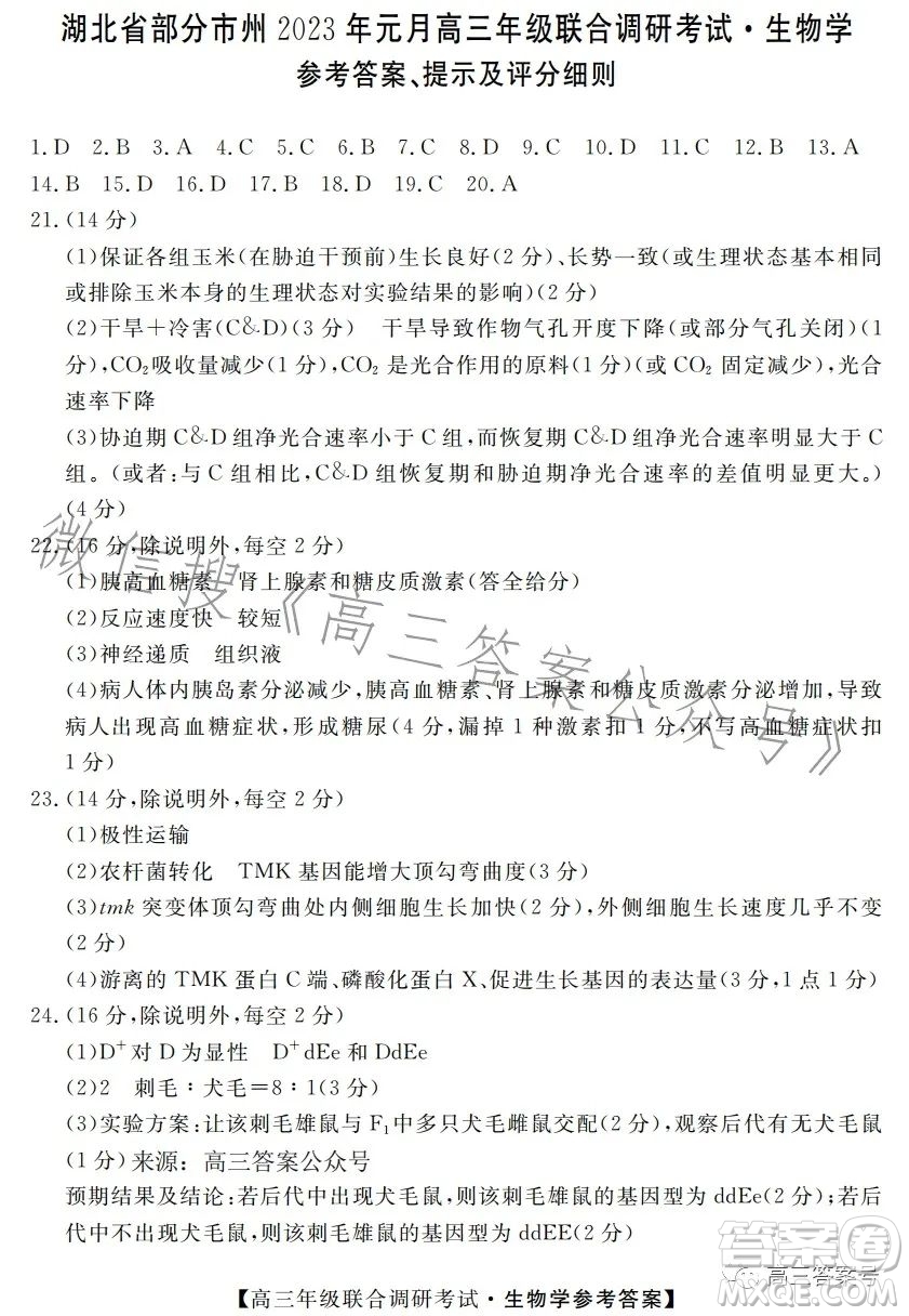 湖北省部分市州2023年元月高三年級聯(lián)合調(diào)研考試生物試卷答案