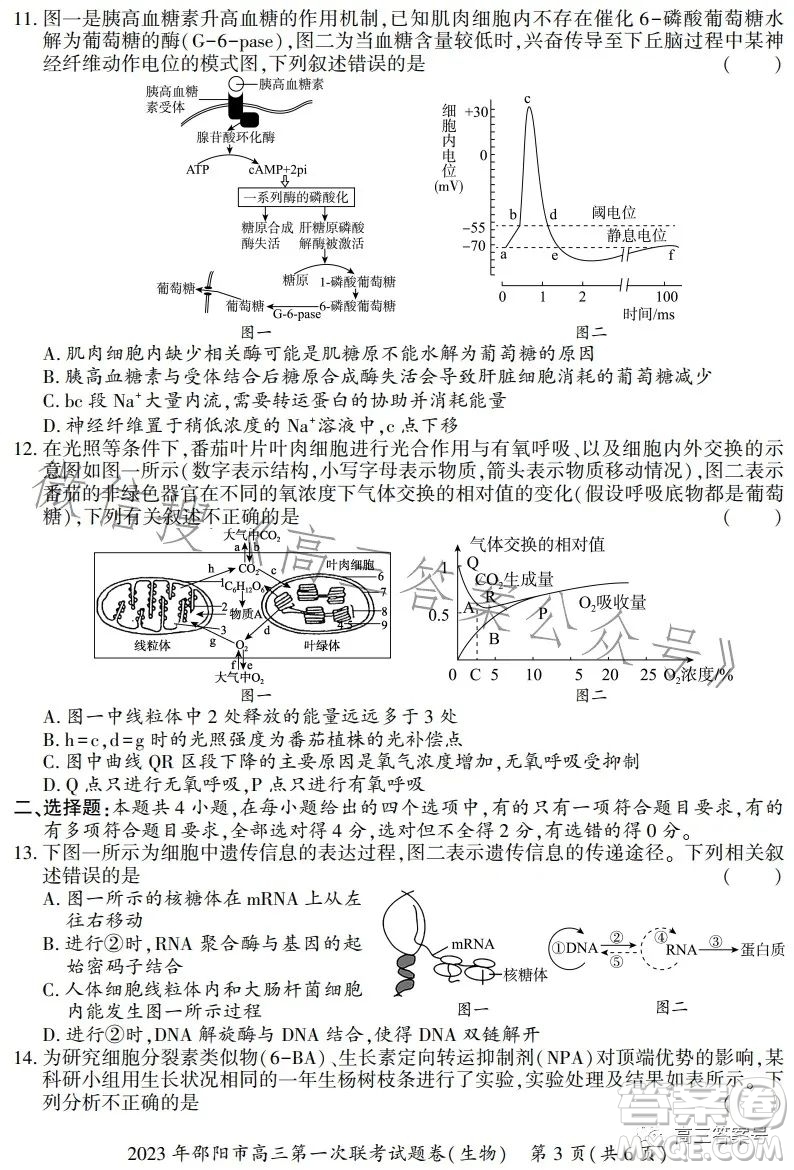 2023年邵陽(yáng)市高三第一次聯(lián)考試題卷生物試卷答案