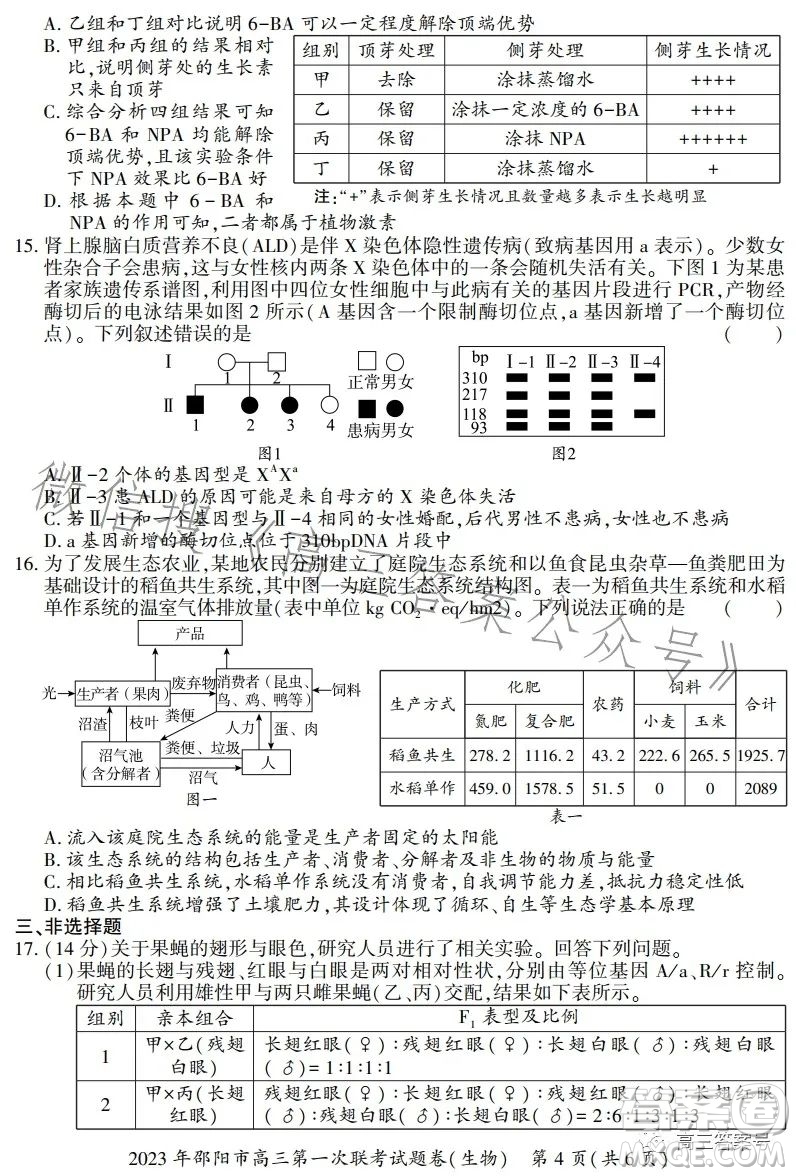 2023年邵陽(yáng)市高三第一次聯(lián)考試題卷生物試卷答案