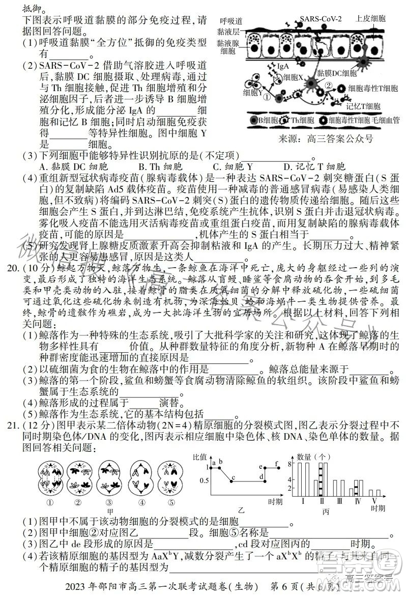 2023年邵陽(yáng)市高三第一次聯(lián)考試題卷生物試卷答案