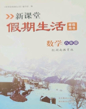 北京教育出版社2023新課堂假期生活寒假用書八年級數(shù)學(xué)湘教版參考答案