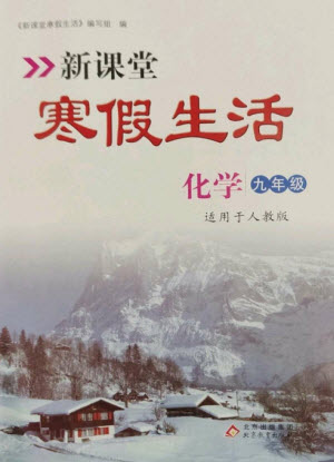 北京教育出版社2023新課堂寒假生活九年級(jí)化學(xué)人教版參考答案