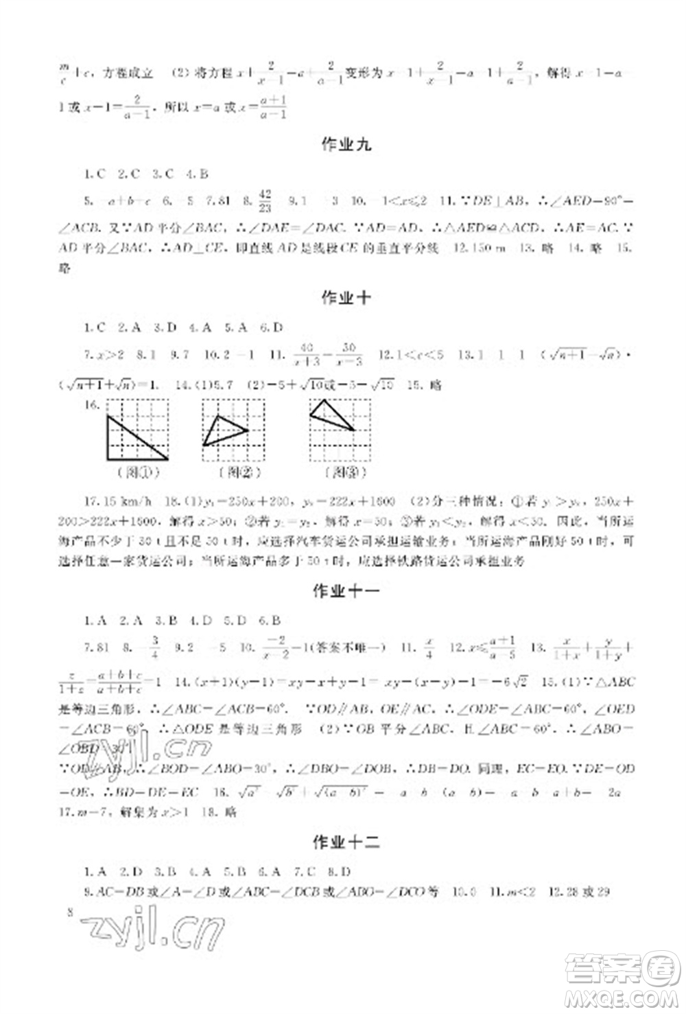 湖南少年兒童出版社2023寒假生活八年級(jí)主科合訂本通用版參考答案