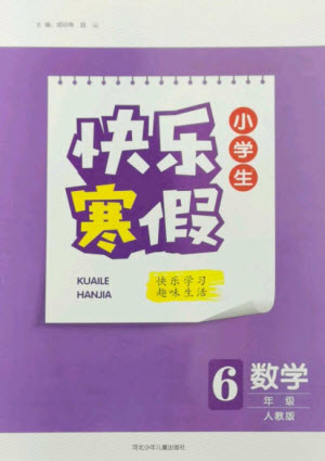 河北少年兒童出版社2023贏在起跑線快樂寒假六年級數(shù)學(xué)人教版參考答案