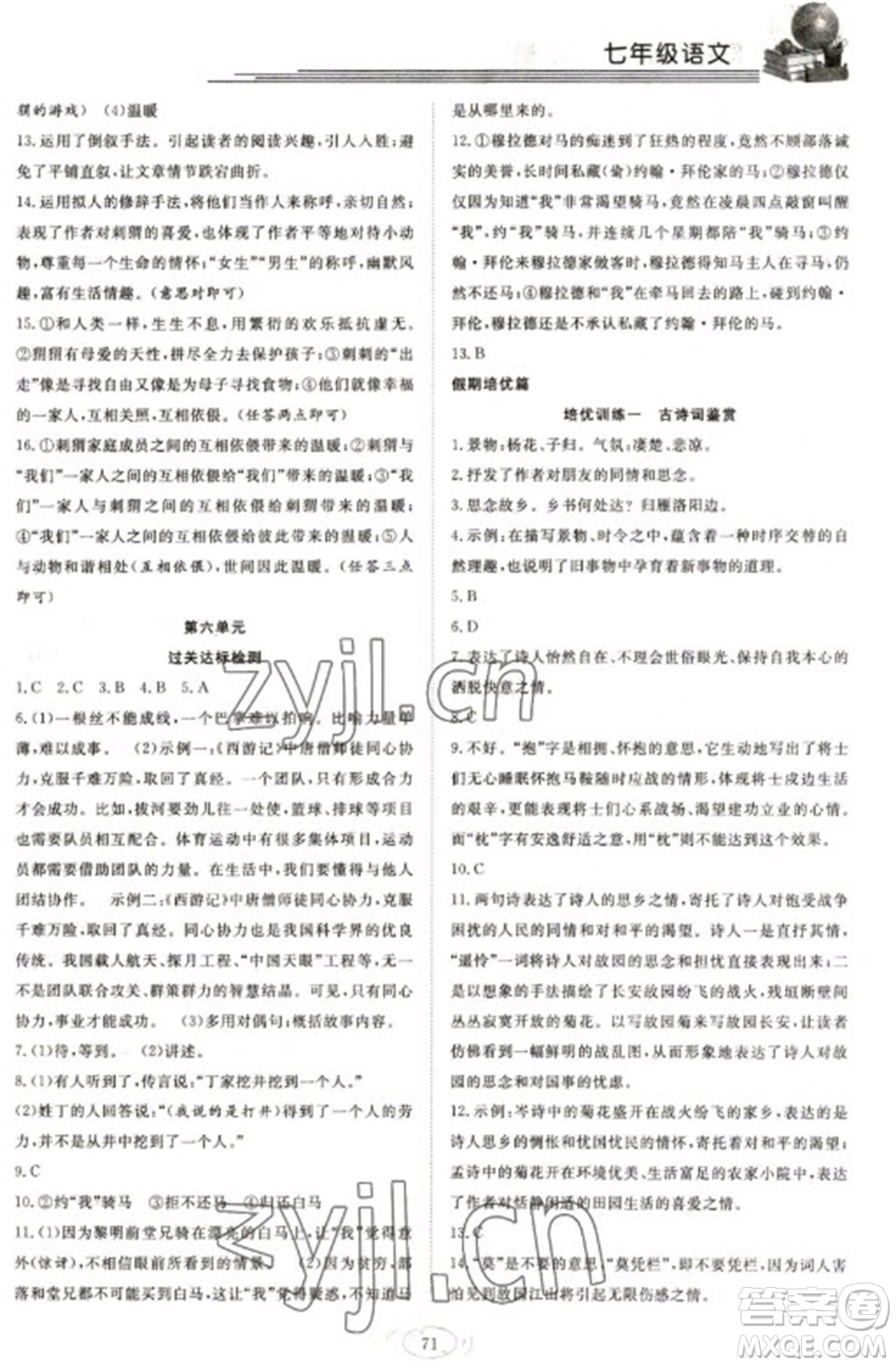 合肥工業(yè)大學(xué)出版社2023假期伴你行寒假復(fù)習(xí)計(jì)劃七年級(jí)語文通用版參考答案