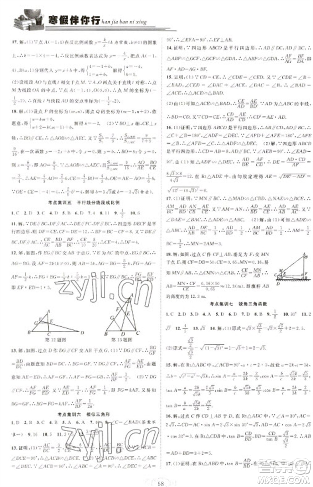 合肥工業(yè)大學(xué)出版社2023假期伴你行寒假復(fù)習(xí)計劃九年級數(shù)學(xué)滬科版參考答案