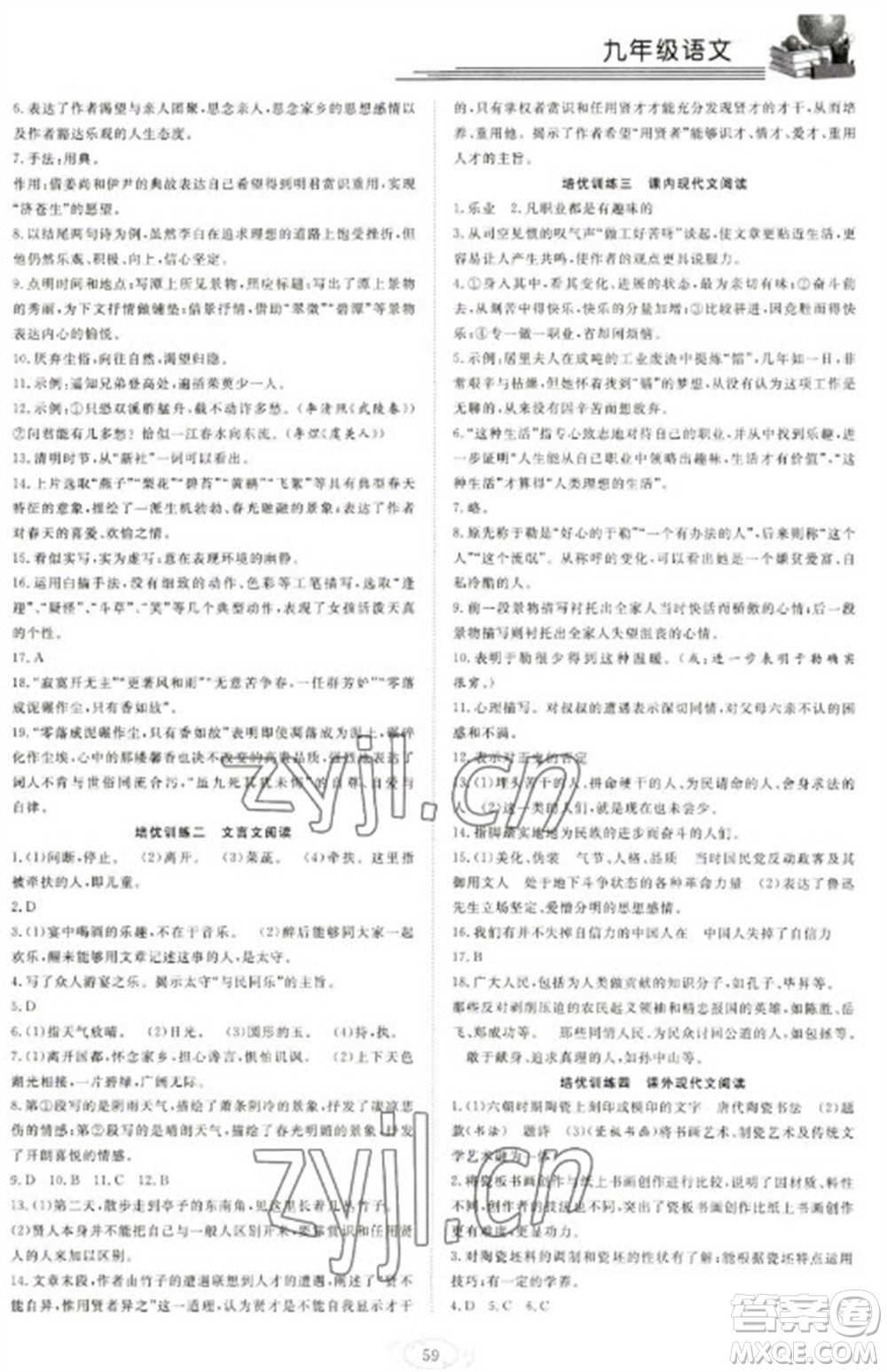 合肥工業(yè)大學(xué)出版社2023假期伴你行寒假復(fù)習(xí)計劃九年級語文通用版參考答案