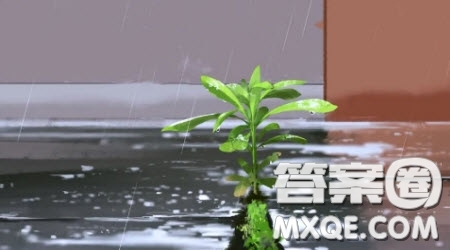 秋天的雨為題作文600字 關(guān)于秋天的雨為題目的作文600字