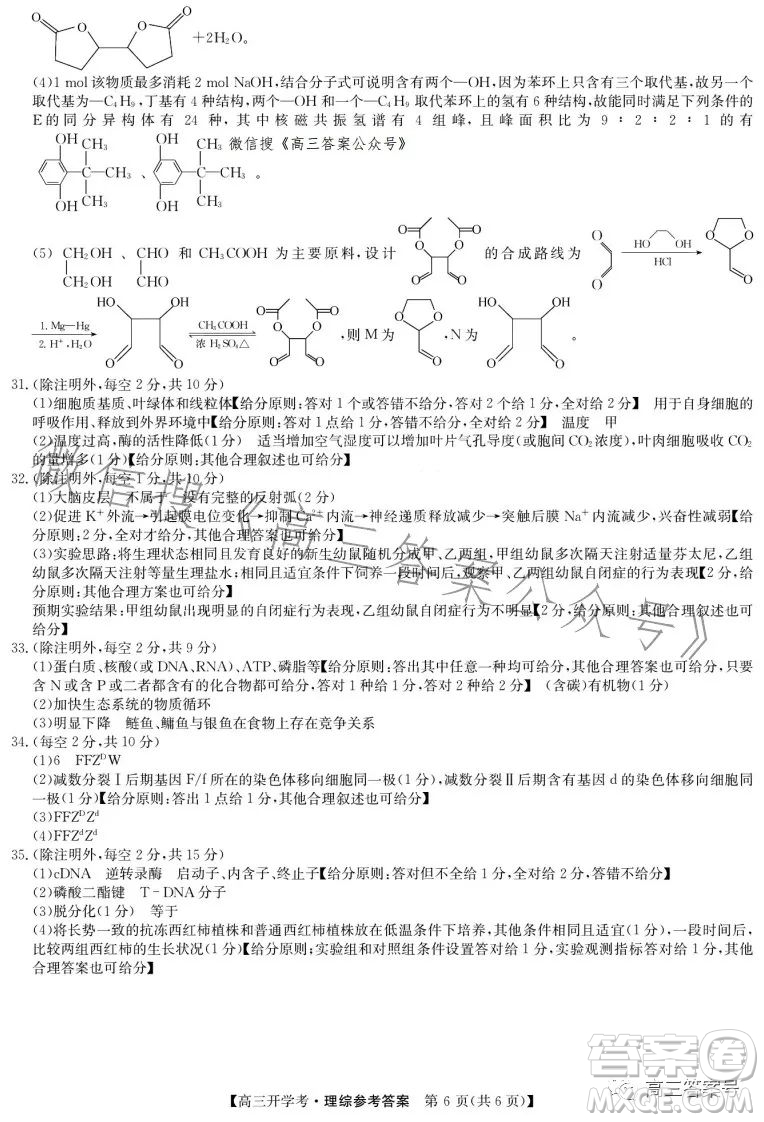 2023年九師聯(lián)盟高三開學(xué)考新高考理科綜合答案