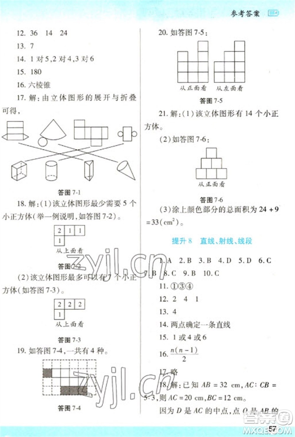 陜西師范大學出版總社2023寒假作業(yè)與生活七年級數(shù)學人教版參考答案