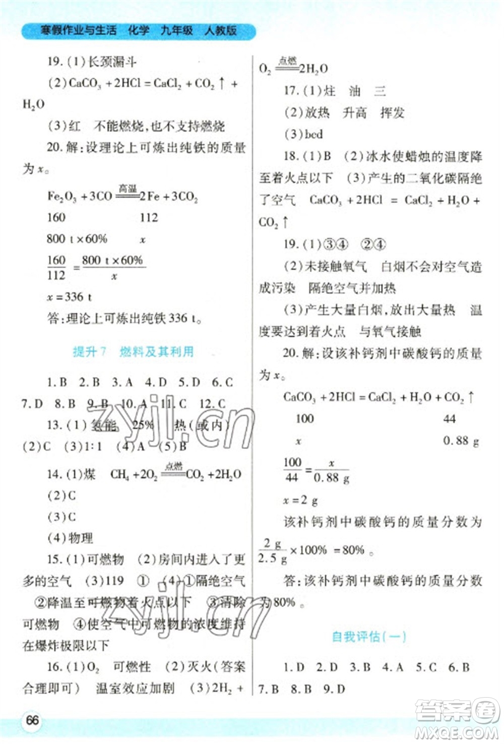 陜西師范大學(xué)出版總社2023寒假作業(yè)與生活九年級(jí)化學(xué)人教版參考答案