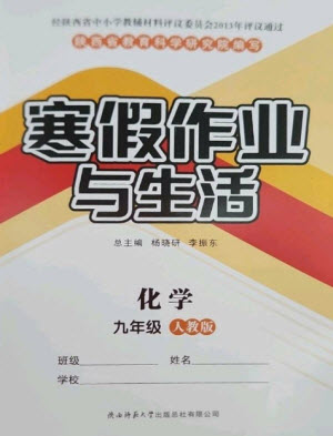 陜西師范大學(xué)出版總社2023寒假作業(yè)與生活九年級(jí)化學(xué)人教版參考答案