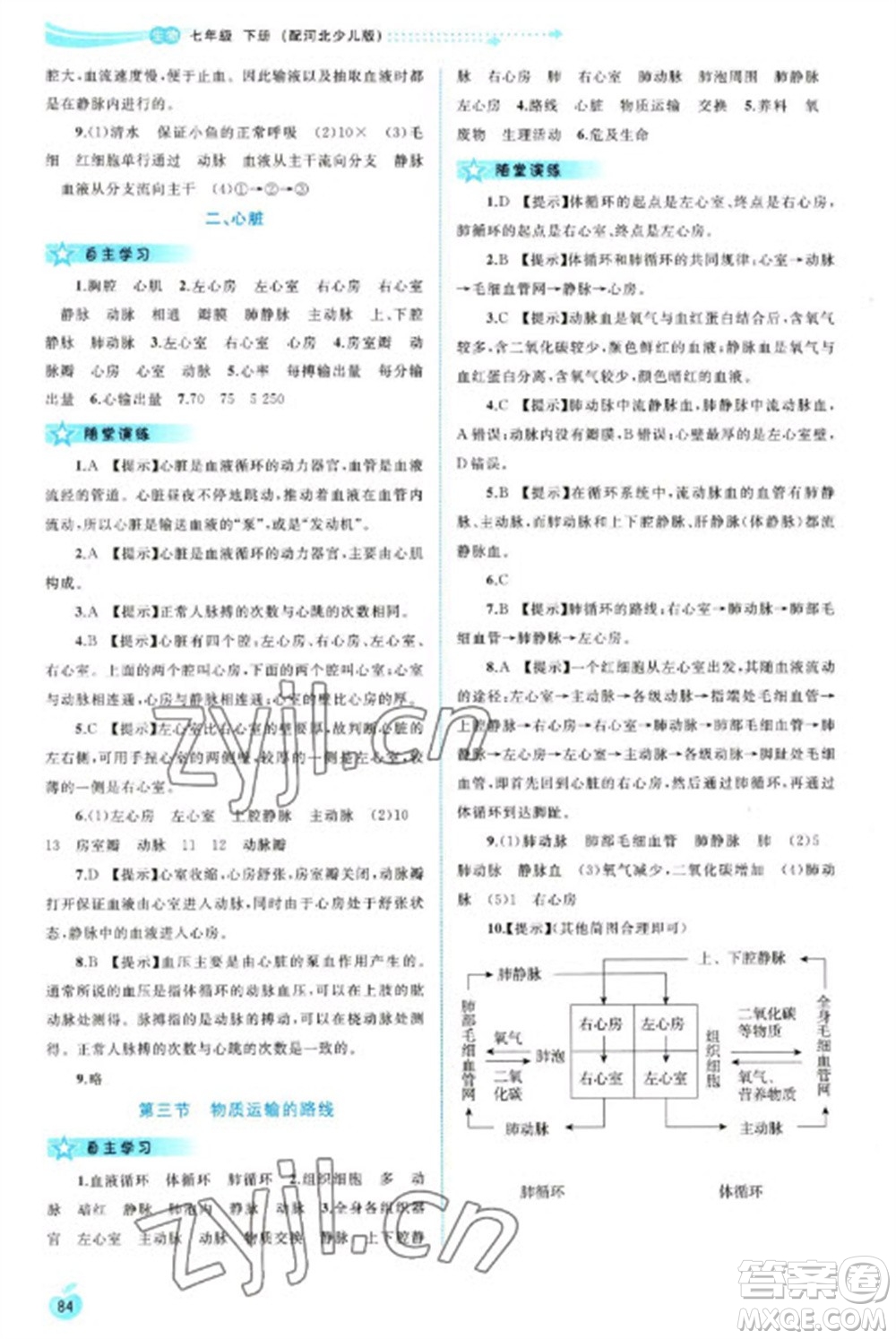 廣西教育出版社2023新課程學(xué)習(xí)與測(cè)評(píng)同步學(xué)習(xí)七年級(jí)下冊(cè)生物冀少版參考答案