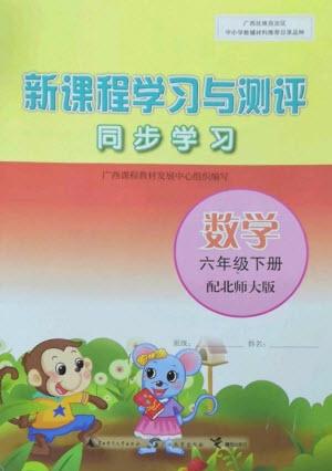 廣西教育出版社2023新課程學(xué)習(xí)與測(cè)評(píng)同步學(xué)習(xí)六年級(jí)下冊(cè)數(shù)學(xué)北師大版參考答案