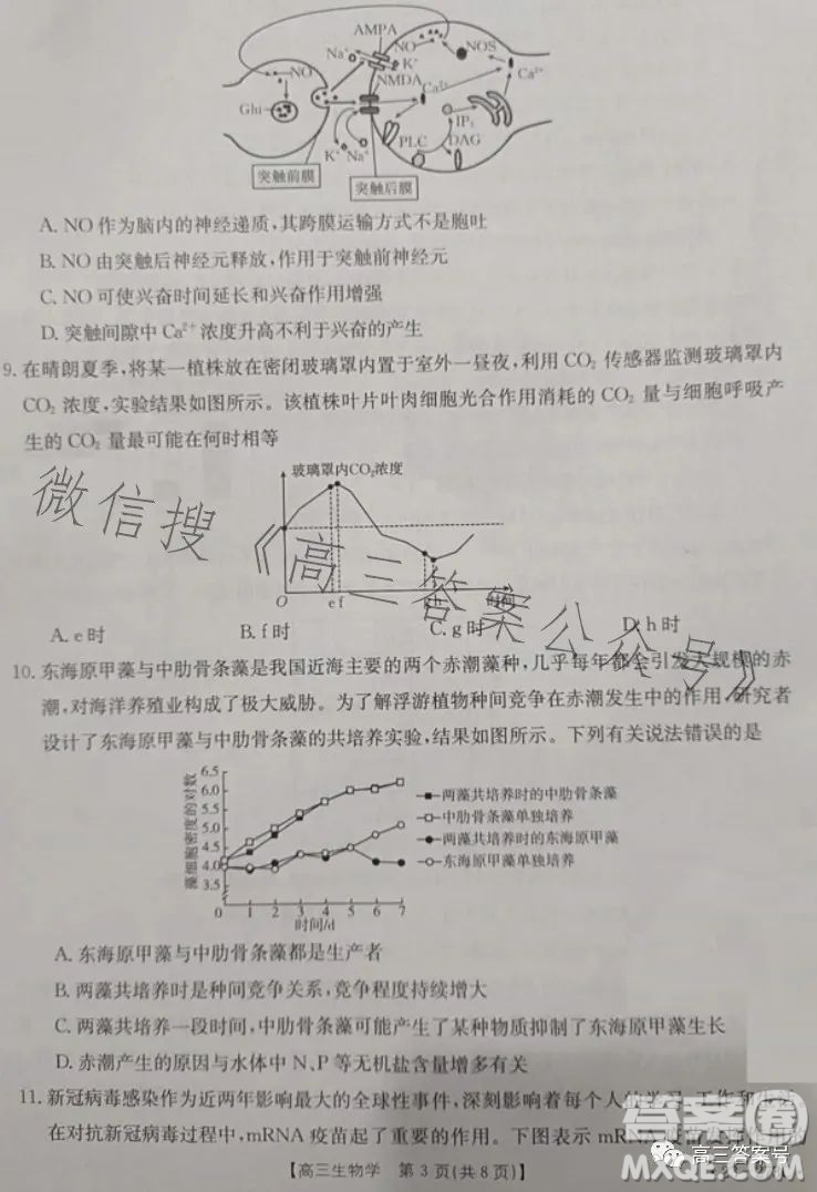 2023湖南金太陽(yáng)聯(lián)考23273C高三生物試卷答案