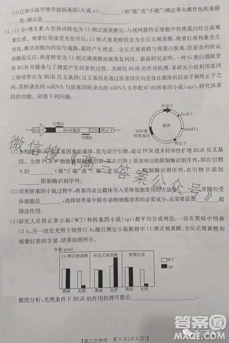 2023湖南金太陽(yáng)聯(lián)考23273C高三生物試卷答案