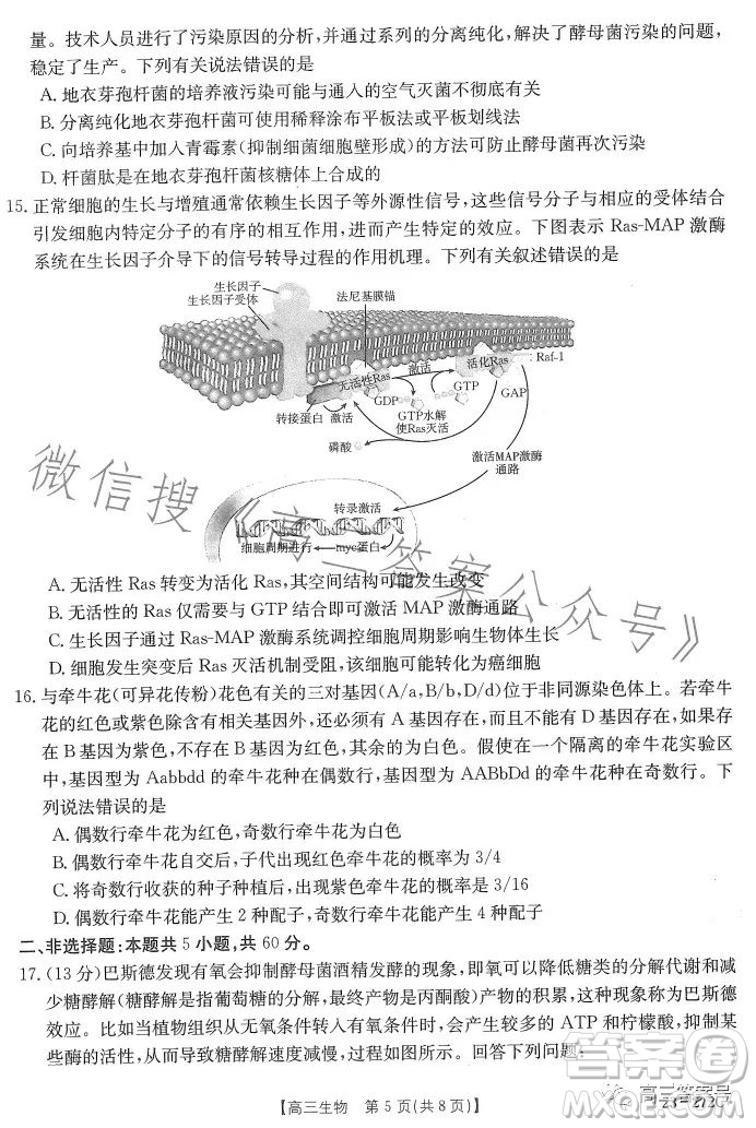 2023廣東金太陽2月聯(lián)考23272C高三生物試卷答案