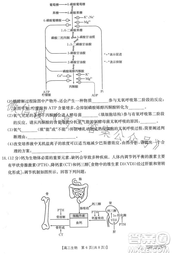 2023廣東金太陽2月聯(lián)考23272C高三生物試卷答案