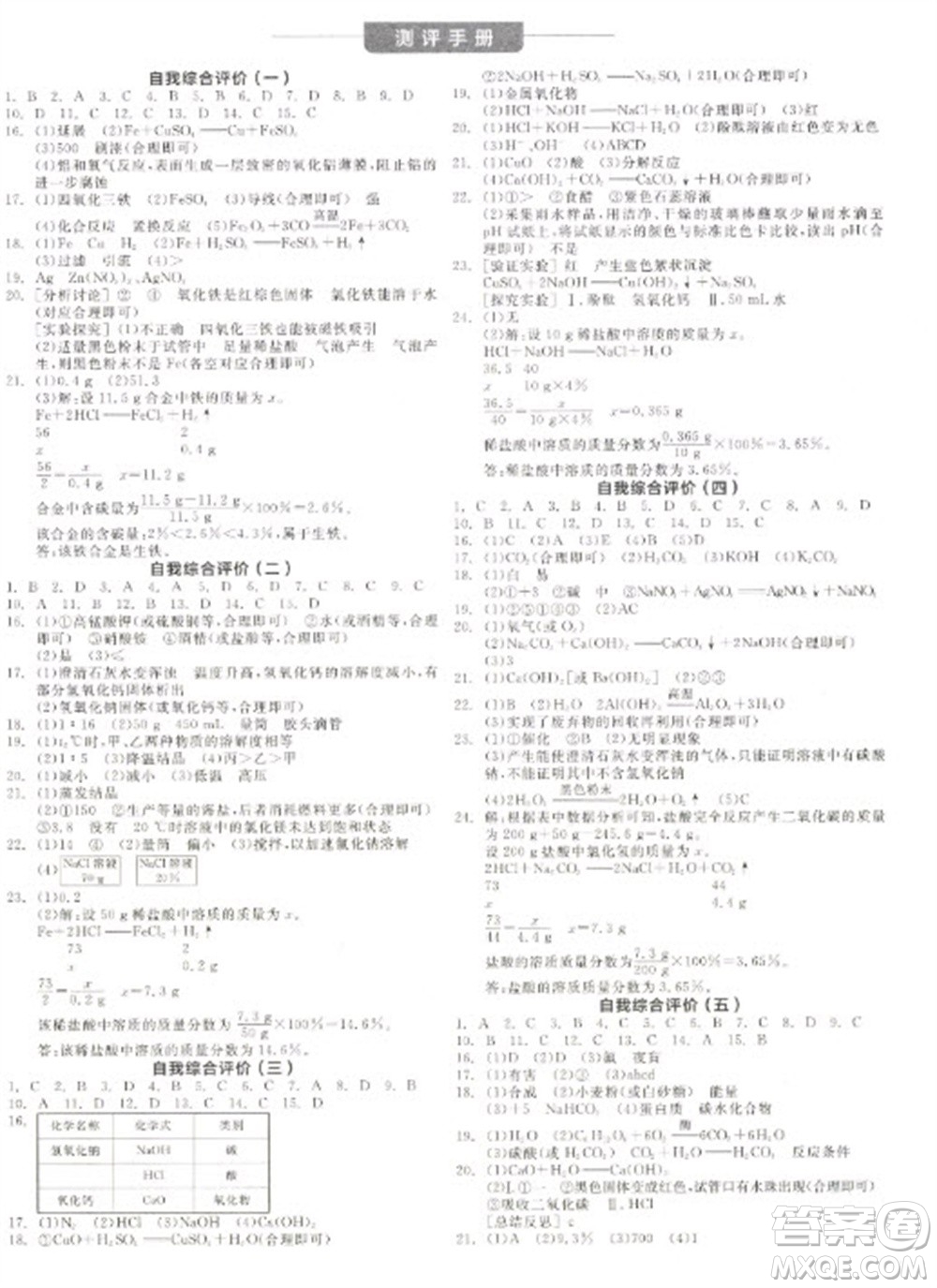 陽光出版社2023全品學練考九年級下冊化學人教版參考答案