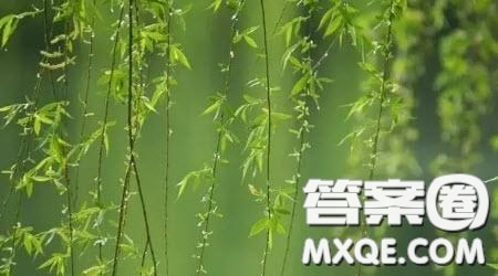 觀滿(mǎn)江紅有感600字 關(guān)于觀滿(mǎn)江紅的有感600字