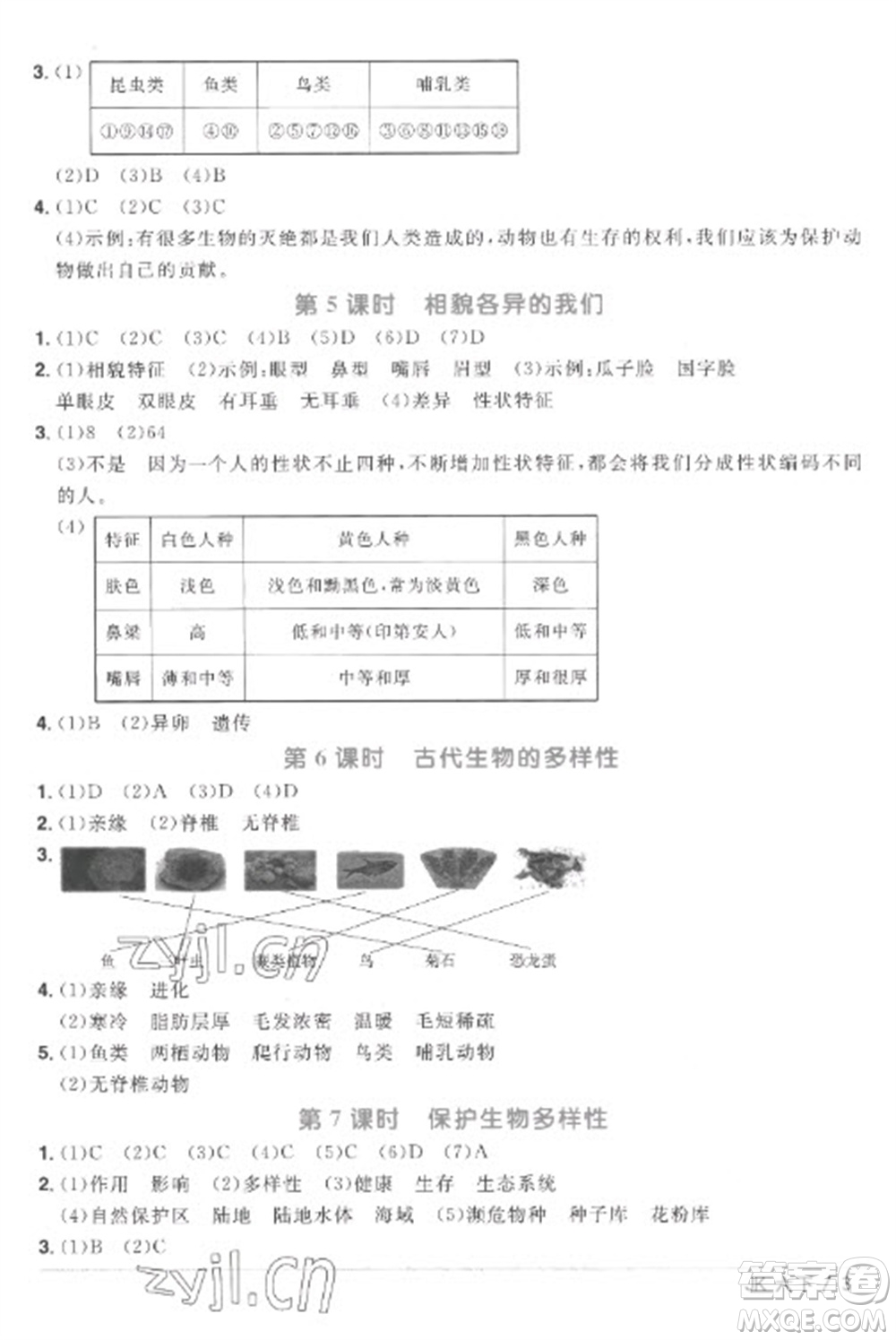 江西教育出版社2023陽光同學(xué)課時優(yōu)化作業(yè)六年級科學(xué)下冊教科版參考答案