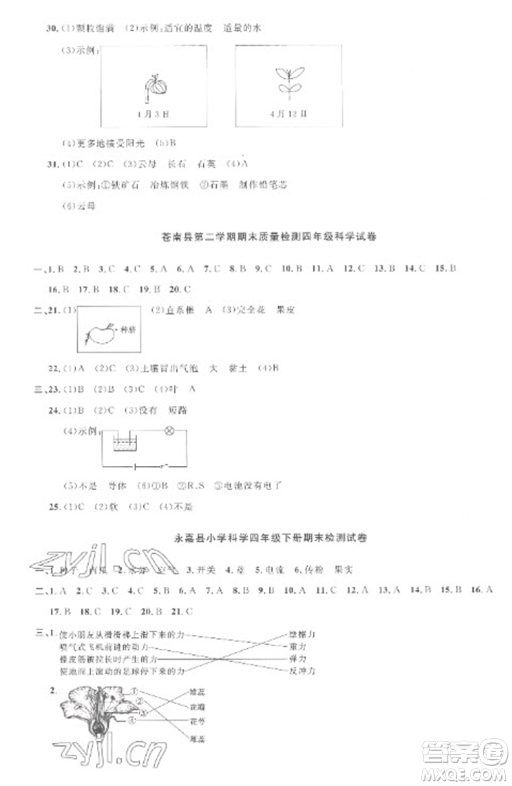 江西教育出版社2023陽光同學課時優(yōu)化作業(yè)四年級科學下冊教科版參考答案