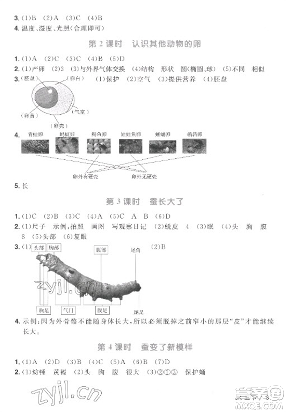 江西教育出版社2023陽光同學(xué)課時優(yōu)化作業(yè)三年級科學(xué)下冊教科版參考答案