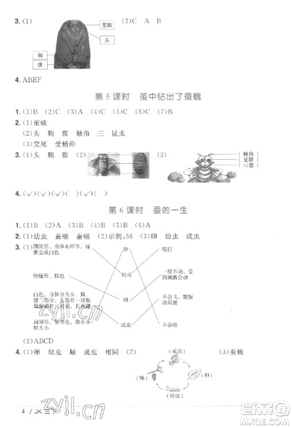 江西教育出版社2023陽光同學(xué)課時優(yōu)化作業(yè)三年級科學(xué)下冊教科版參考答案