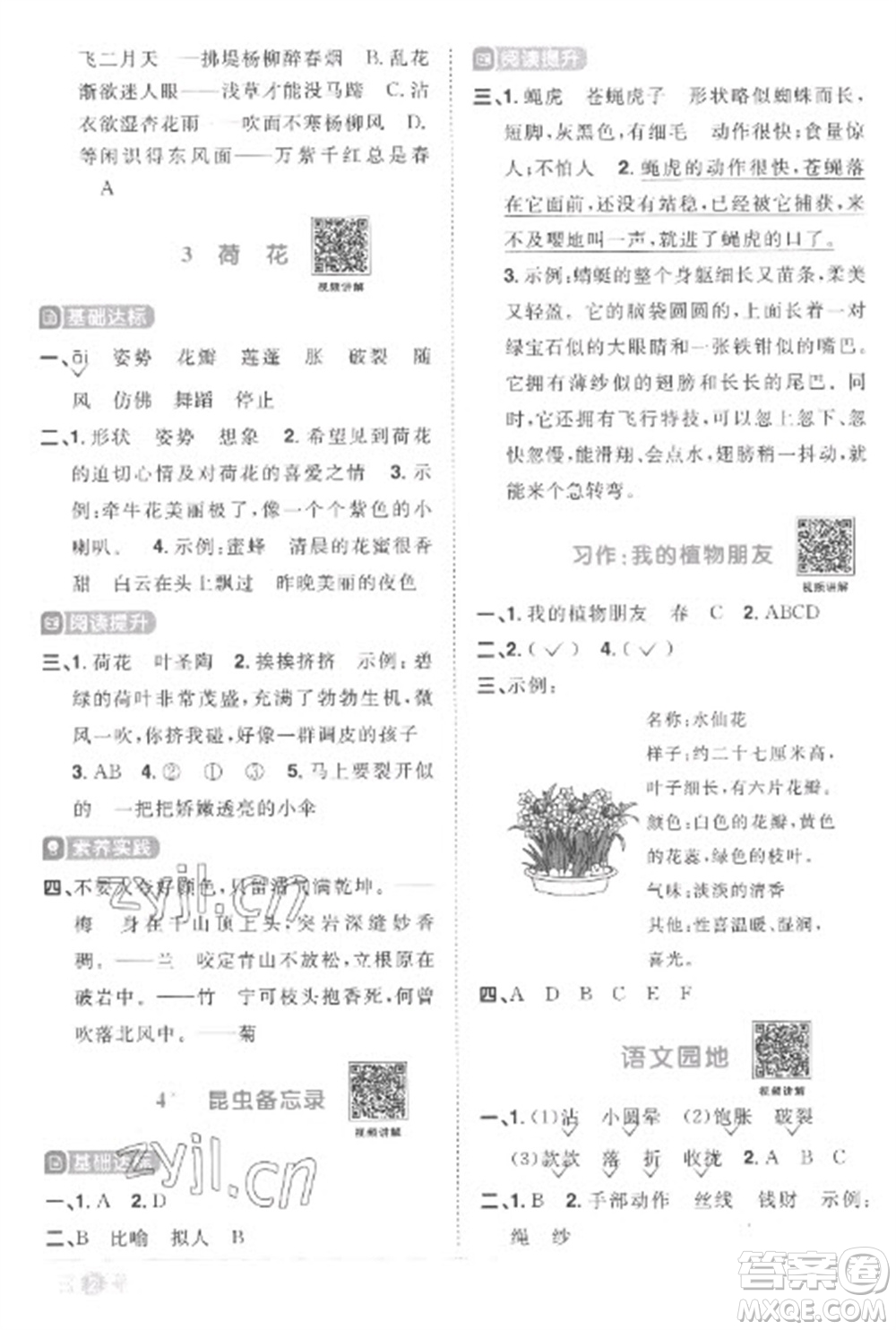 江西教育出版社2023陽光同學(xué)課時優(yōu)化作業(yè)三年級語文下冊人教版菏澤專版參考答案