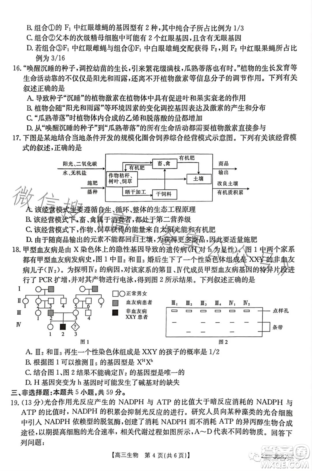 2023河北金太陽高三聯(lián)考23302C生物試卷答案