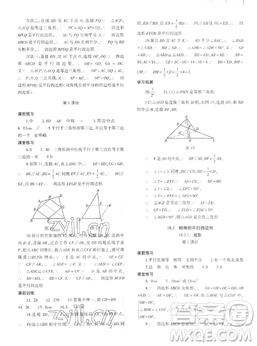 大象出版社2023初中同步練習(xí)冊(cè)八年級(jí)下冊(cè)數(shù)學(xué)人教版答案