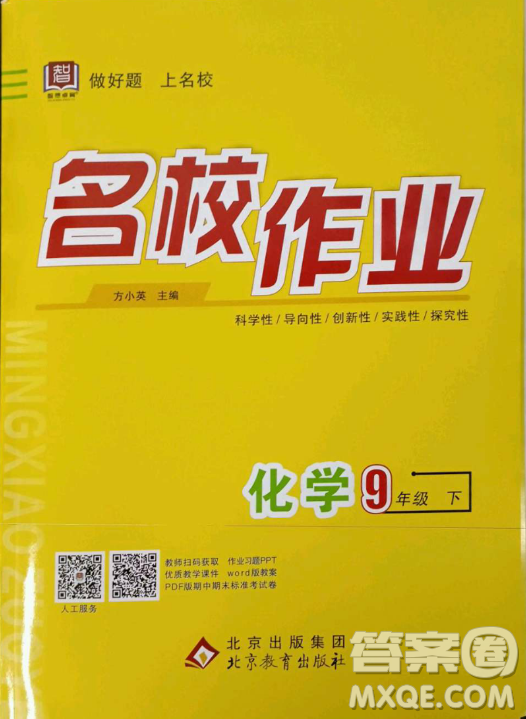 北京教育出版社2023名校作業(yè)九年級下冊化學(xué)滬教版山西專版答案