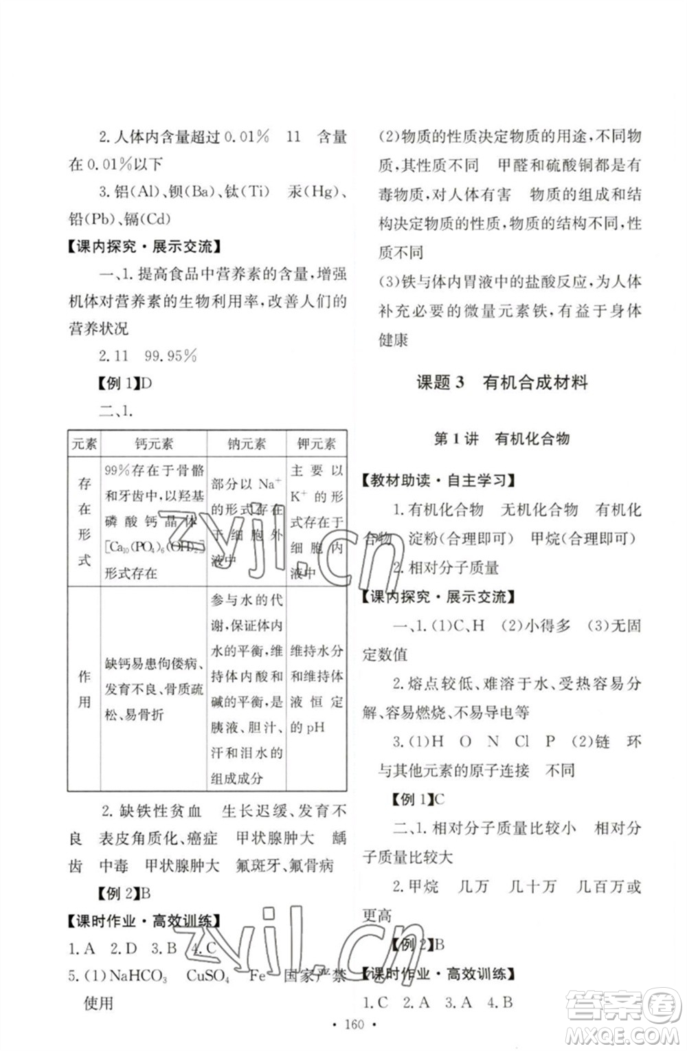 人民教育出版社2023能力培養(yǎng)與測(cè)試九年級(jí)化學(xué)下冊(cè)人教版參考答案