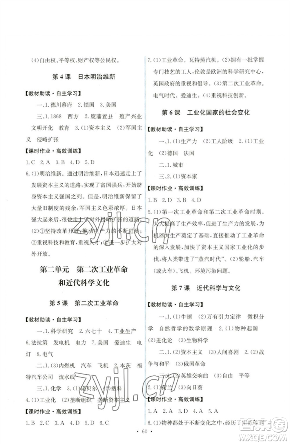 人民教育出版社2023能力培養(yǎng)與測試九年級世界歷史下冊人教版湖南專版參考答案