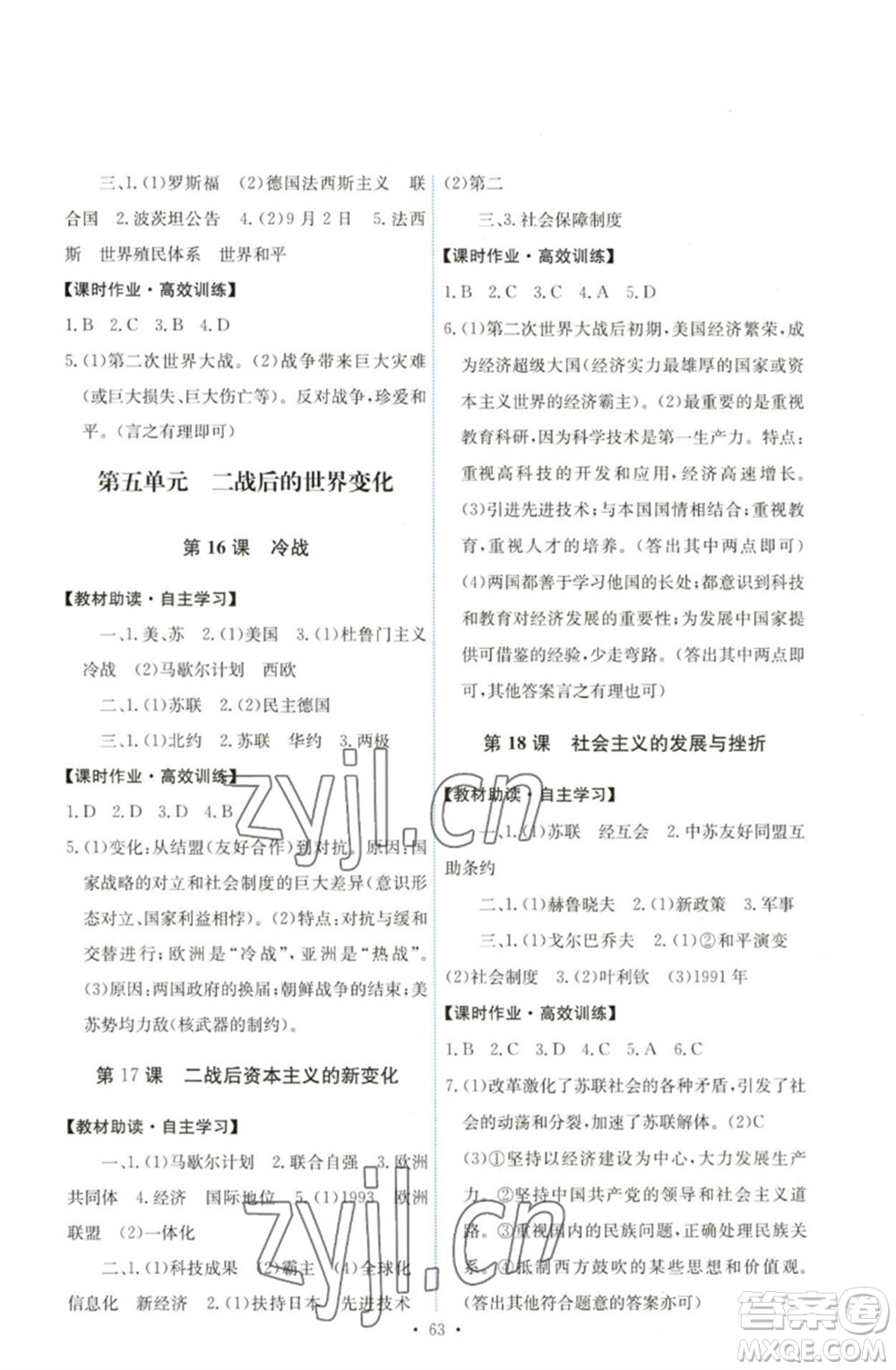 人民教育出版社2023能力培養(yǎng)與測試九年級世界歷史下冊人教版湖南專版參考答案