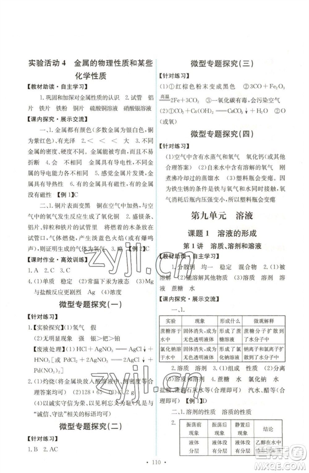 人民教育出版社2023能力培養(yǎng)與測試九年級化學(xué)下冊人教版湖南專版參考答案