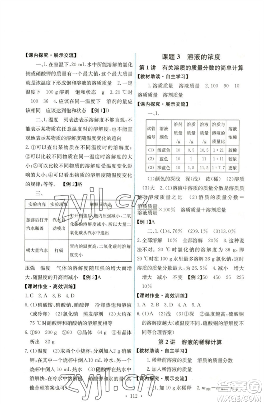 人民教育出版社2023能力培養(yǎng)與測試九年級化學(xué)下冊人教版湖南專版參考答案