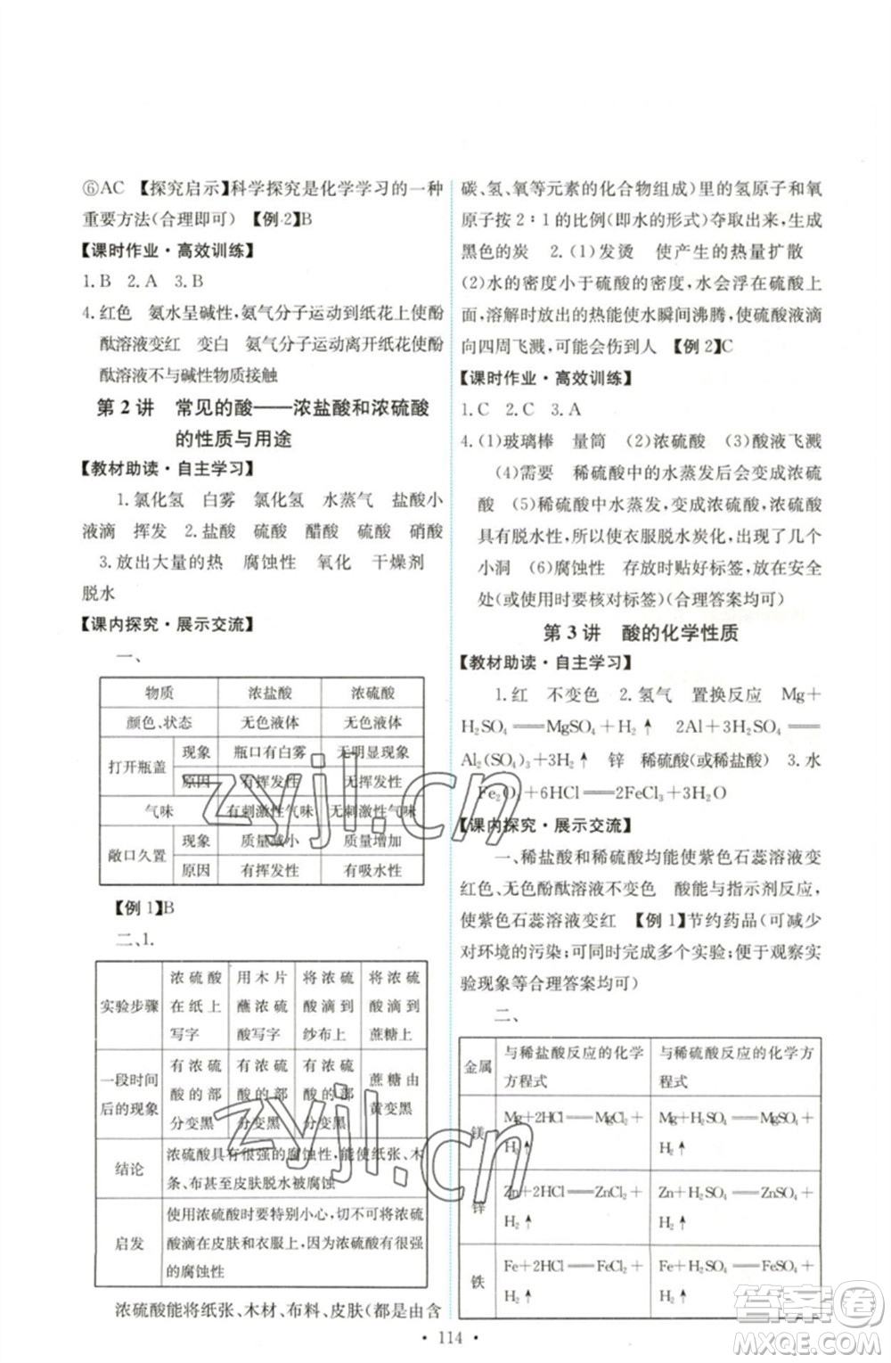 人民教育出版社2023能力培養(yǎng)與測試九年級化學(xué)下冊人教版湖南專版參考答案