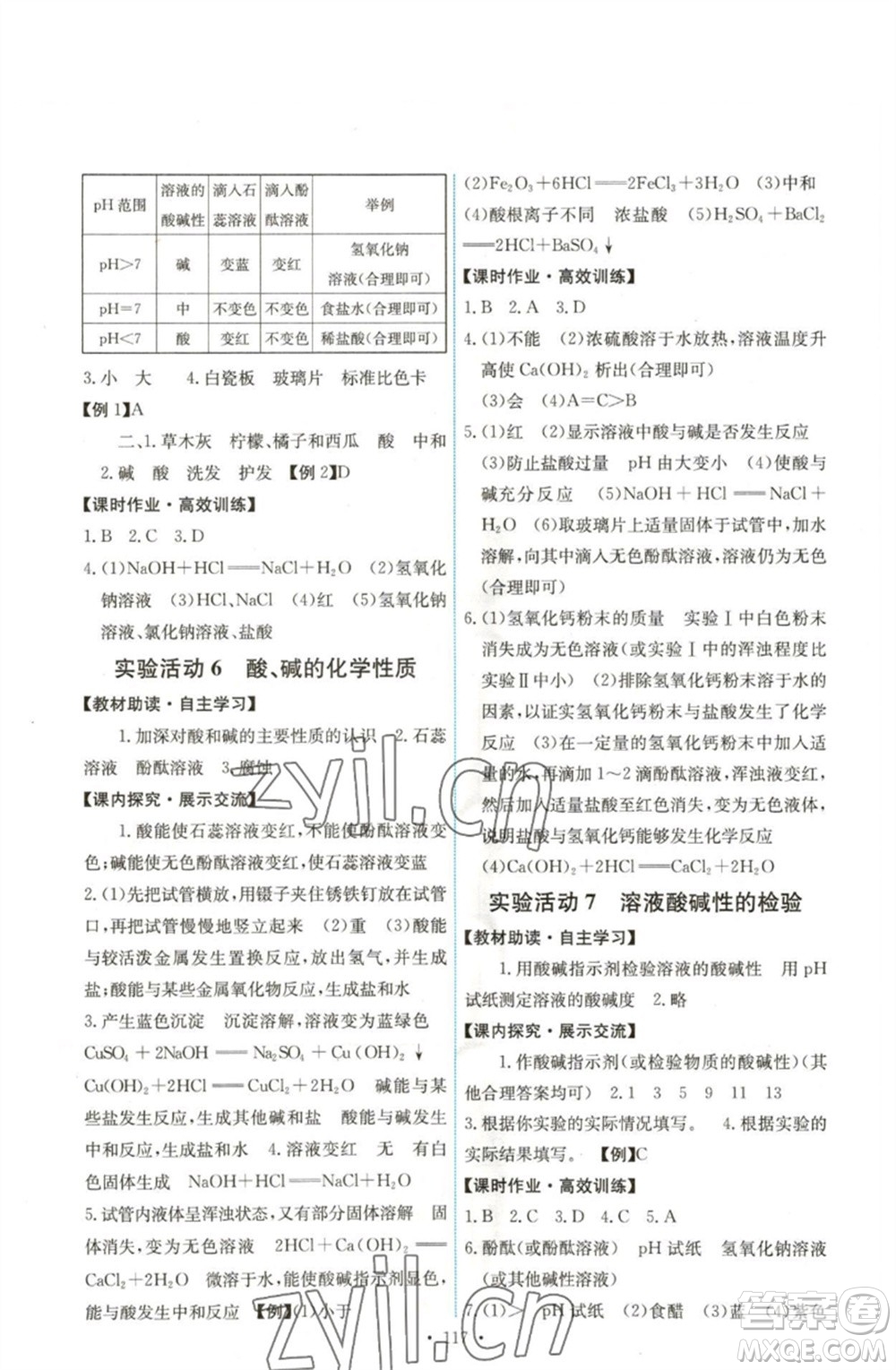 人民教育出版社2023能力培養(yǎng)與測試九年級化學(xué)下冊人教版湖南專版參考答案