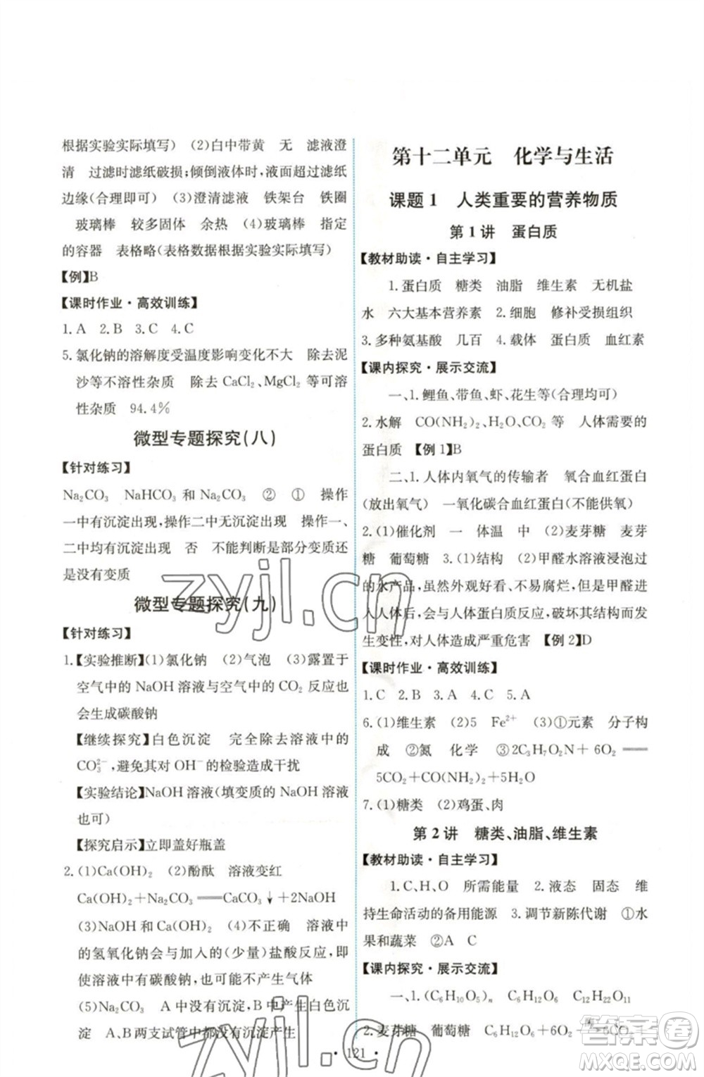 人民教育出版社2023能力培養(yǎng)與測試九年級化學(xué)下冊人教版湖南專版參考答案