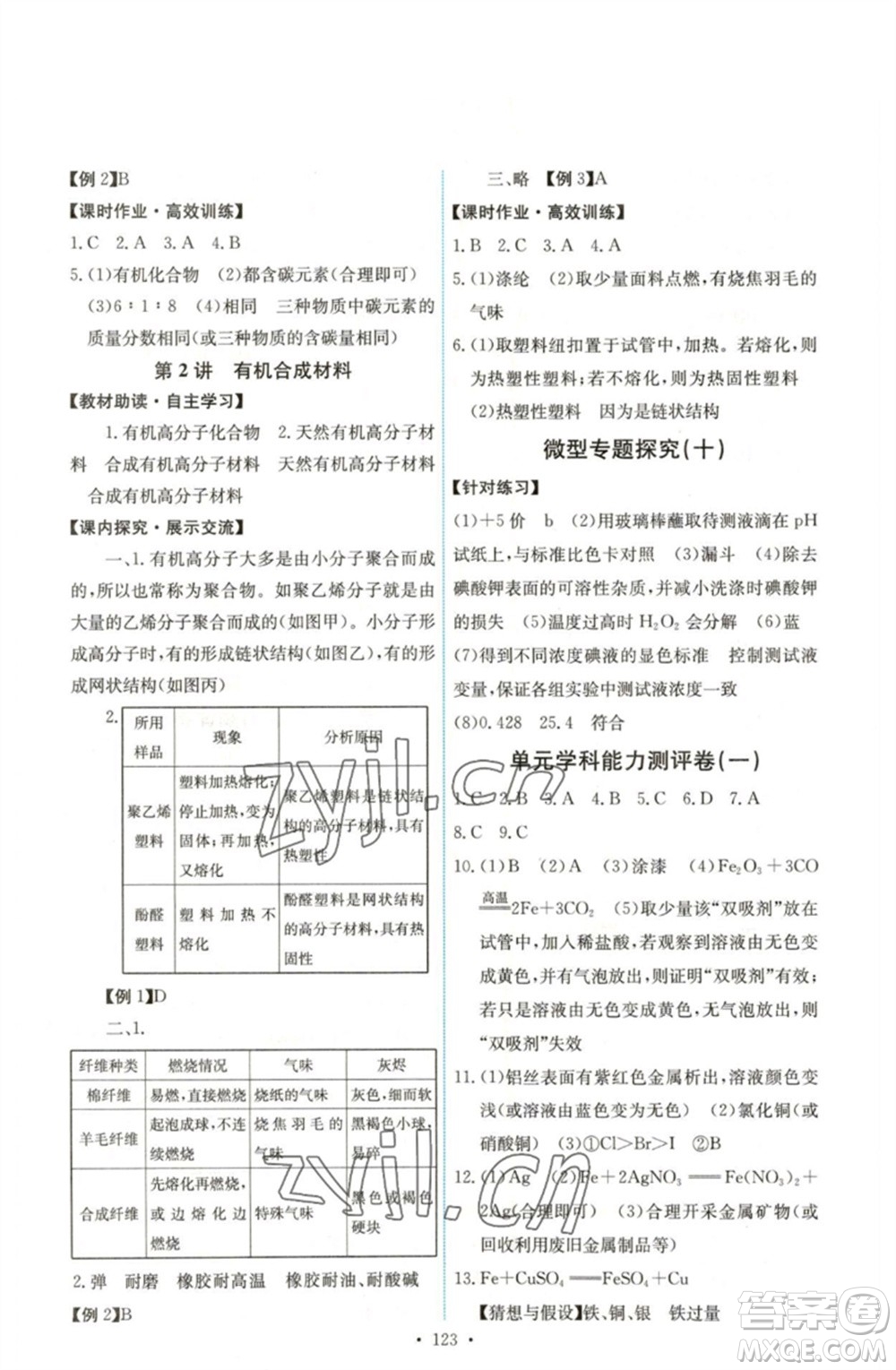 人民教育出版社2023能力培養(yǎng)與測試九年級化學(xué)下冊人教版湖南專版參考答案