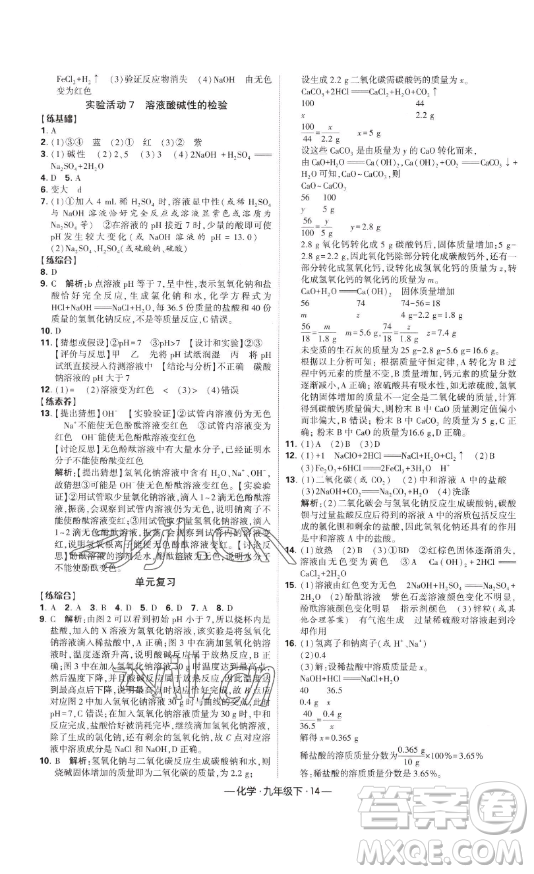 寧夏人民教育出版社2023經綸學典課時作業(yè)九年級下冊化學人教版答案