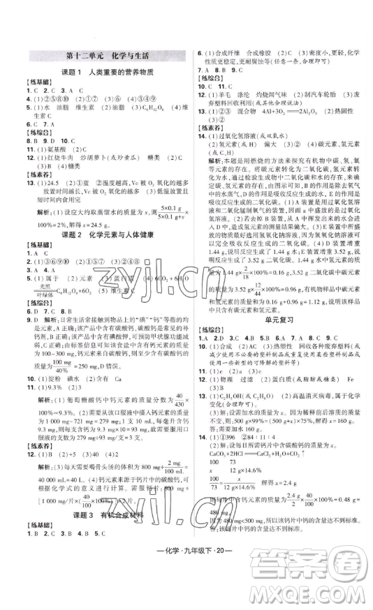 寧夏人民教育出版社2023經綸學典課時作業(yè)九年級下冊化學人教版答案