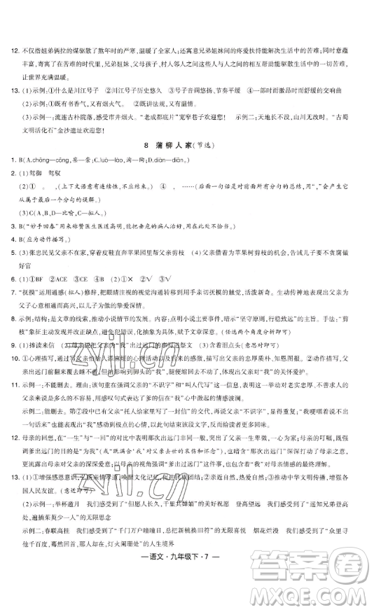 寧夏人民教育出版社2023經(jīng)綸學(xué)典課時(shí)作業(yè)九年級(jí)下冊(cè)語(yǔ)文人教版答案