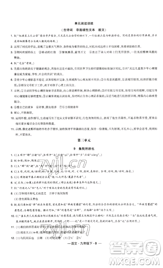 寧夏人民教育出版社2023經(jīng)綸學(xué)典課時(shí)作業(yè)九年級(jí)下冊(cè)語(yǔ)文人教版答案