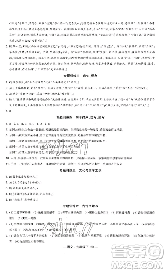 寧夏人民教育出版社2023經(jīng)綸學(xué)典課時(shí)作業(yè)九年級(jí)下冊(cè)語(yǔ)文人教版答案