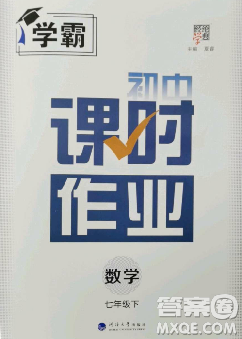 河海大學出版社2023經(jīng)綸學典課時作業(yè)七年級下冊數(shù)學人教版答案