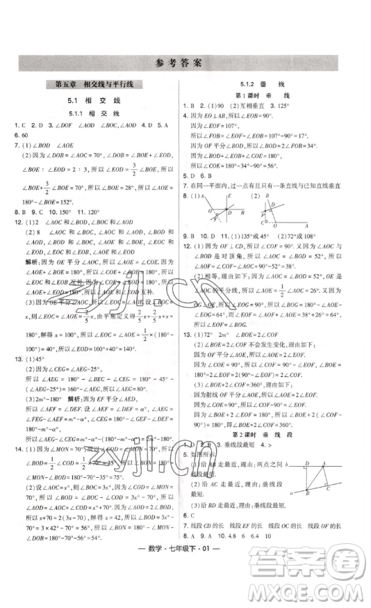 河海大學出版社2023經(jīng)綸學典課時作業(yè)七年級下冊數(shù)學人教版答案