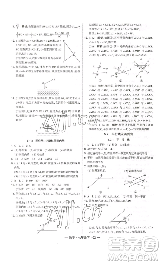 河海大學出版社2023經(jīng)綸學典課時作業(yè)七年級下冊數(shù)學人教版答案