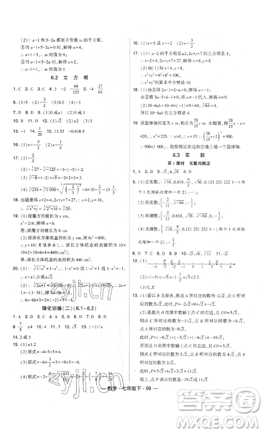 河海大學出版社2023經(jīng)綸學典課時作業(yè)七年級下冊數(shù)學人教版答案